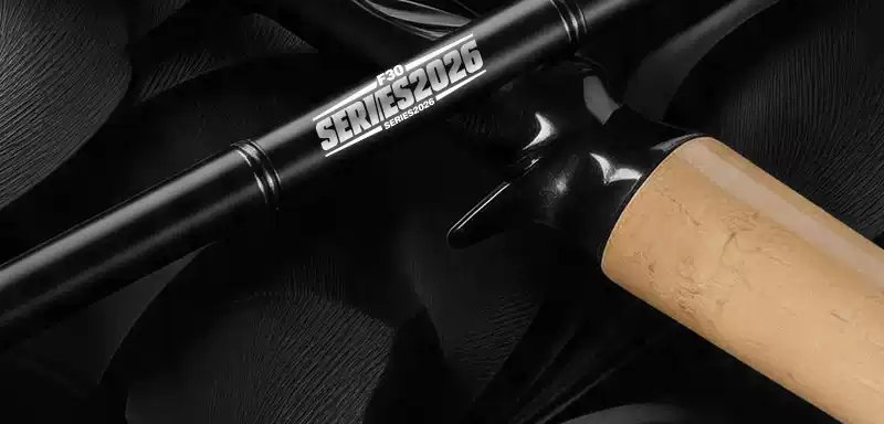 F30 detail view 2